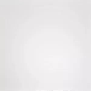 Керамогранит Домино (Domino) 600*600 белый G-100/MR — купить в Екатеринбурге