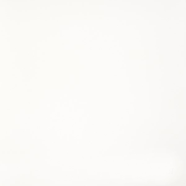 Керамогранит "Грани Таганая" Feeria (600*600 мм) Белый GTF400 — купить в Екатеринбурге