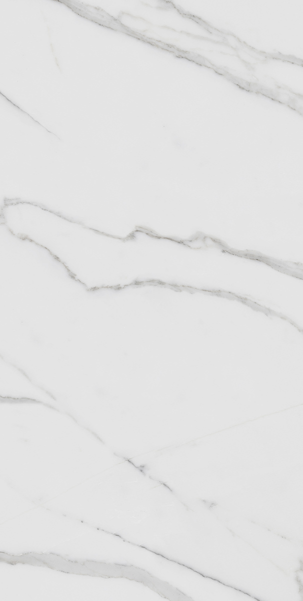 Керамогранит Pallisandro (Паллисандро) 600x1200 гриджио MR — купить в Екатеринбурге